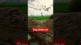 Dog attack me#foryou #viral #youtubeshorts