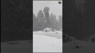 #freshsnowfall #bhaderwah #jammukashmirtourism #pahadilife #enjoy #snowfall2023