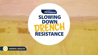 Slowing Down Drench Resistance | PGG Wrightson