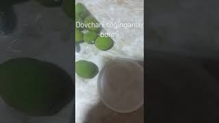 dovchani soğinganlar bormi//