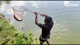 Best Hook Fishing Video |Awesome Hook Fishing In Big Pond 🔥 | Mega Fish Catch By Hook