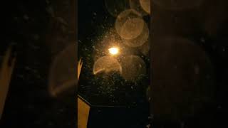 #short snowflakes at night, slowmotion