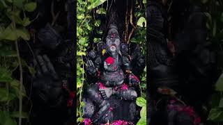 Jai Ganesh #like #subscribe #viral #youtubeshorts