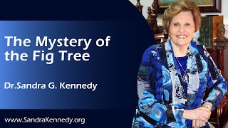 July 14, 2024 - The Mystery of the Fig Tree