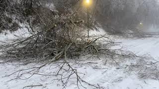 Ice Storm Damage - Mountain Park, Oregon