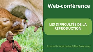 Web-conférence  : Comment optimiser la reproduction de son troupeau de bovins ?