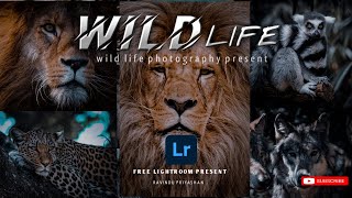 Lightroom mobile present free dng |WILD LIFE PHOTOGRAPHY Present | lightroom Mobile free