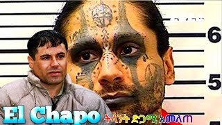 El Chapo Guzman | እስርቤት ልያስቆመዉ ያልቻለዉ ሰዉ | Prison Break Movie | Prison Escape | Documentary 2024