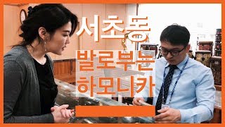 서초동, 발로 부는 하모니카 / 코스모스악기 / 안인모 / 평생취미