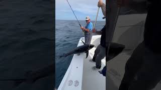 Tuna off NJ Coast #tuna #sportfishing #tunafishing #fish #bait #mahi #tunafish #fishing