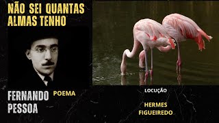 Poesia "Não Sei Quantas Almas Tenho" Fernando Pessoa