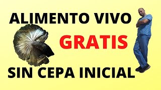 ALIMENTO VIVO GRATIS Y SIN CEPA INICIAL