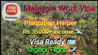 MALAYSIA PLANTATION WORK- VISA READY- SIME DARBY- इस विडियो में वीज़ा टिकिट चेक करें-अभी अप्लाई करें