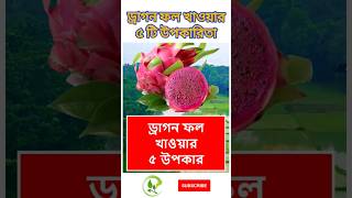 ড্রাগন ফলের উপকারিতা | Benefits of Dragon Fruits