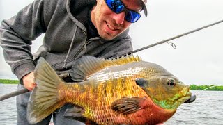 GIANT BLUEGILL & WALLEYE SMASHFEST!