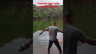 jogando milho na ceva pra pescar carpa logo cedo #pescaria #carpa #billing #short #shorts