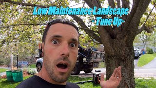 Low Maintenance Landscaping -Tune Up