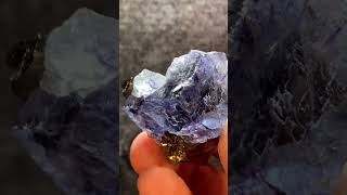 Rare High Quality Stepped Blue Purple Fluorite Clear Crystal Mineral Specimen On Chalcopyrite Matrix