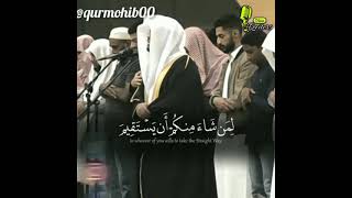 Incredible emotional Recitation by Sheikh yasser al dosari_Reciters voice _