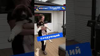 Завел лучшего друга❤️