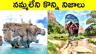 నమ్మలేని నిజాలు Interesting And Unknown Facts In Telugu |CTC Facts|World facts