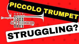 Piccolo Trumpet Challenges: Expert Tips for Beginners and Troubleshooting for Experienced Players