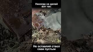 Не оставляй ствол сваи пустым