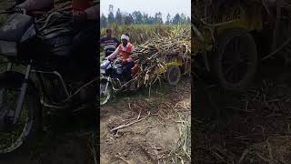 three wheeler bike #splendor #viral #shortsvideo #ytshorts भारत का जुगाड