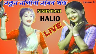 Nishamani Nagara । Nagara Assam । New Nagara Video । Palnam । Live Nagara । Kirtan । Assam Ts