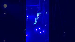 Wow😱🔥 #flyingtrapeze #circus #circusarts #acrobatics #trick #flip #цирк #трюки #show