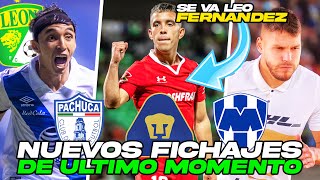 LEO FERNANDEZ A PACHUCA ¡TANO ORTIZ NUEVO TECNICO DE MONTERREY! FREIRE SE VA DE PUMAS ¡NOTICIAS HOY!