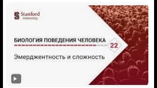 Биология поведения человека  Лекция #22  Эмерджентность и сложность Роберт Сапольски  Стэнфорд