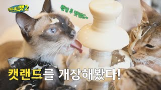 [ENG] 고양이를 위한 캣랜드 오픈 ㄷㄷㅣ인피니티캣2 6화