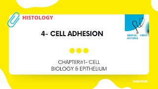 Cell Adhesion | CHAPTER#1- CELL BIOLOGY & EPITHELIUM