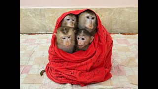 4Siblings Sit Hugging Each Other In The Tower Very WELL-MANNERED Waiting Mom To Come & Warm Up For..