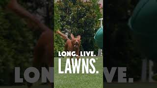 How do you use your lawn?