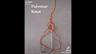 Nodul Palomar