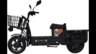 The key features,motor,performance and safety of Bijli Cargo Bike