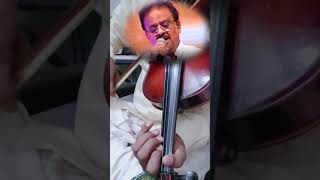 swapna venuvedo Telugu hit song #spbalusongs #spbaluhits #violinsongs #violin #shorts #ytshorts