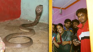 जहरीले चंद्रनाग ने मचाया घर में तांडव देखें फिर क्या हुआ Huge Monocled Cobra hidden in house