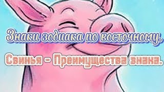 Знаки зодиака по восточному. Свинья - Преимущества знака.