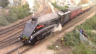 A4 4498 'Sir Nigel Gresley' - 1Z70 Ealing Broadway to Lincoln - Pelham Bridge, Lincoln - 3/12/22