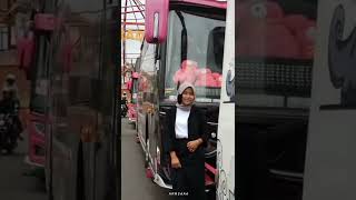 Story wa||Cinematic bus tunggal jaya"Blackpink"