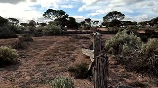 Checking out Koonalda Homestead