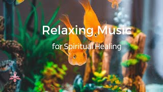 Music For Fish Tank Sounds | sleeping music and Relaxing Music |