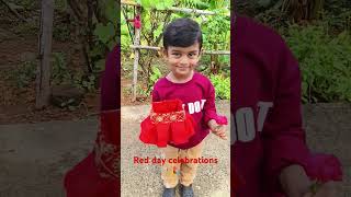 Pen stand making with card board box || Red day celebrations #redday #reddaycelebrations #penstand