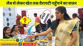 लैब से लेकर खेत तक वैरायटी का सफ़र || speed breeding || agrihindustan