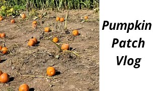 VLOG: We went to a pumpkin Patch, hayride,what I ate, what I wore,and much more