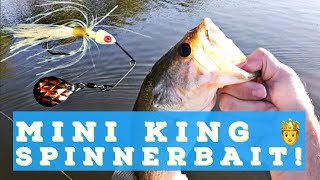 🌇 Fishing the Strike King Mini King Spinnerbait 🤴