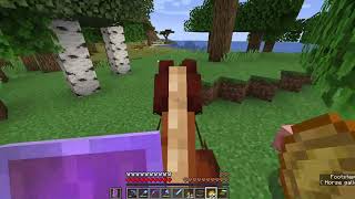 Minecraft | Village destruction | Best Enchants | Slain by Enderman | Is Mending OP? | Part - 20